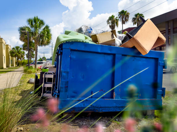 Best Basement Cleanout Services  in Winslow, AZ